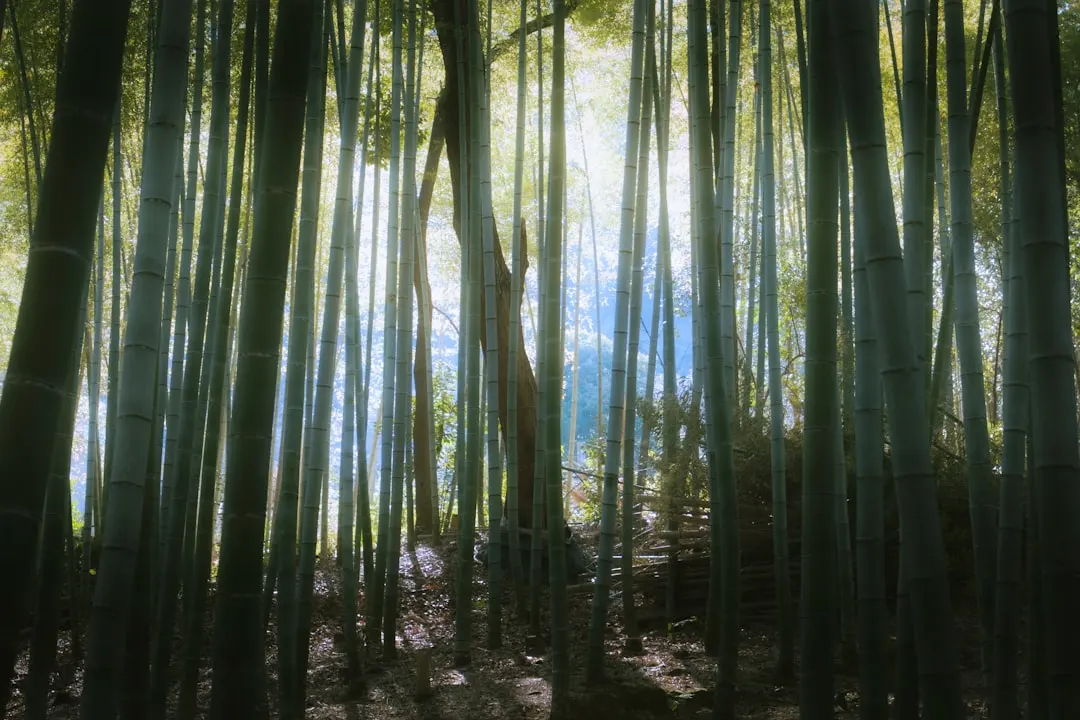 高邮制路灯杆生产工艺流程及其对质量管控的影响